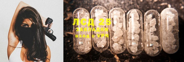 PSILOCYBIN Богданович