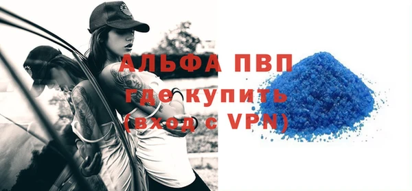 ECSTASY Богородицк