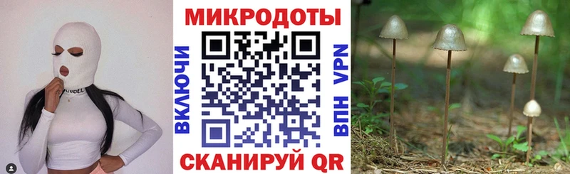 Галлюциногенные грибы Psilocybe  Клинцы 