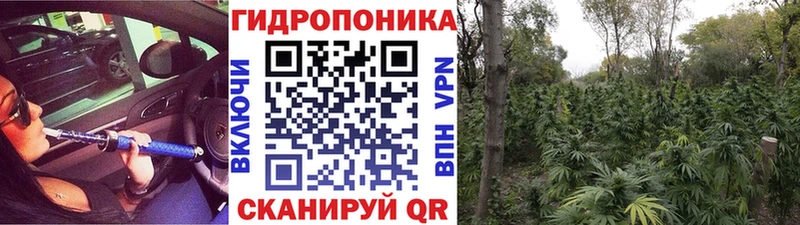 Каннабис VHQ  Клинцы 